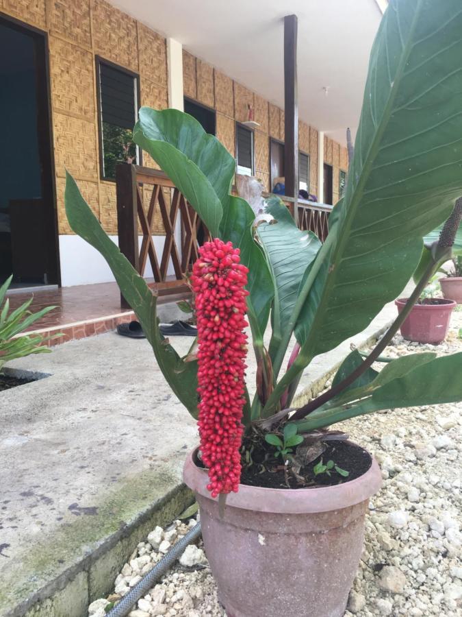 Panglao Rainbow Inn Tagbilaran Exteriér fotografie